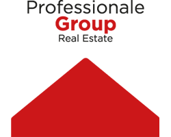 Professionale Group Real Estate